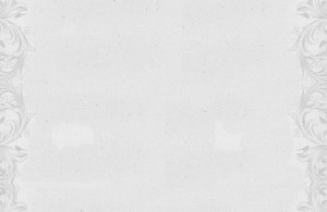 inner page bg